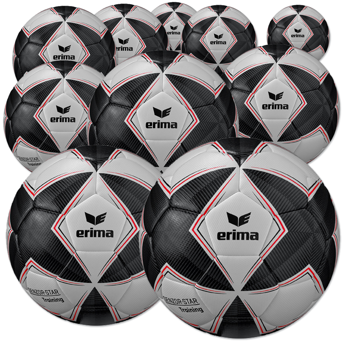 10 Stck ERIMA Senzor Star Training im Ballpaket